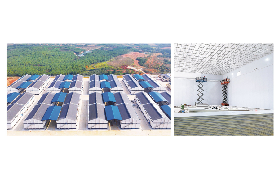 国家储备粮（广东/江西省储粮）改造项目